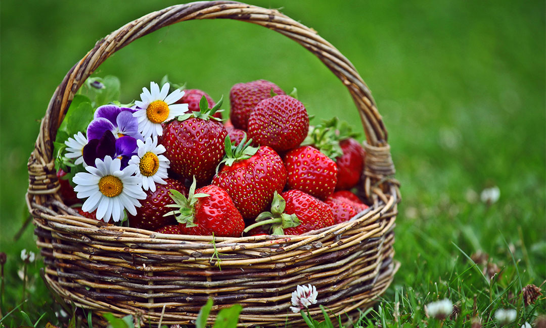 乐山点呀点水果电商APP开发案例