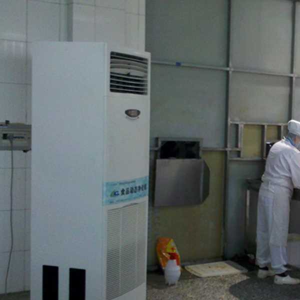 乐山食品正负离子空气杀菌器